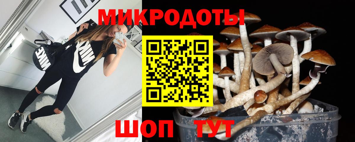 Псилоцибиновые грибы Magic Shrooms  Псилоцибиновые грибы GOLDEN TEACHER  Вход с VPN  Северобайкальск 