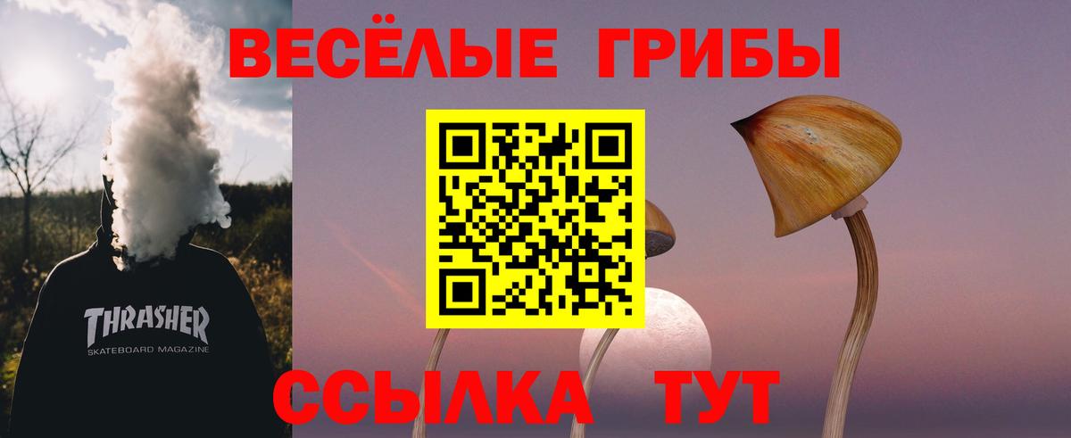 Псилоцибиновые грибы мицелий Северобайкальск